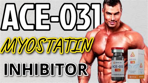 Myostatin inhibitor ACE.